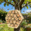 Natural Wooden Structure For Yard With Hexagonal Pattern And 2