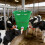 Farm Essential 8L Cattle Milk Container-Gray 5 mouths 5