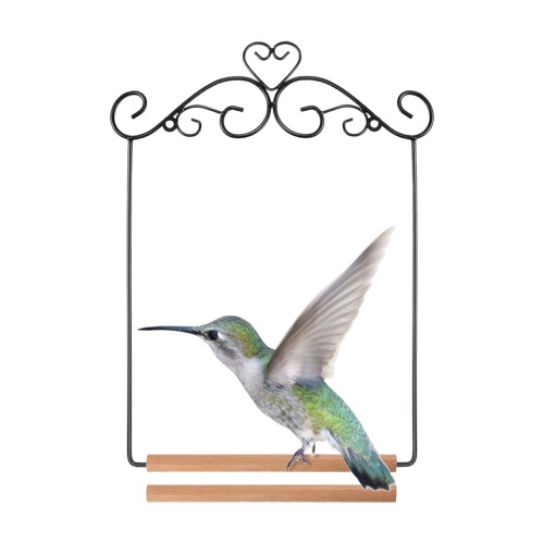 Rural Styles Wild Bird Swing Stand Perch With Rustproof-2 2