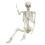 Decorazione di Halloween per esterni con ossa e teschio 5.4 4