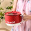 Mini electric hot pot with foldable handle 2.5L 4