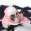 Supergruselige Spinne Halloween-Requisite Schwarz 76 cm 2