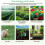 Functional Soil Health Analyzers Delivers Precise Nutrient Moisture Temperature Readings Through Mobile Connectivities 2