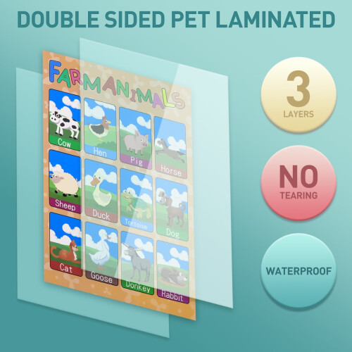 Educational Preschool Posters Charts Set 3 Pack 10PCS 1