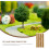 Miniature Rice Field Grass Model DIY Sand Table Static Grass Strip for Landscape Décor 7