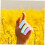 50pcs Cloth Finger Cots Thumb Protector Finger Protection Sleeves 7