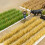 87 Scale Plastic Wheat Field Landscape Decor for Sand Table DIY Model Railway Scenery 8