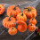 Pumpa Höstdekorationsset 8 delar 4