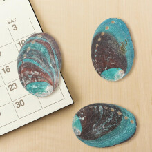 3-teiliges Räucherschalen-Set mit Abalone-Muschelstücken, Muschelopferhalter, der auch als Schale verwendet werden kann