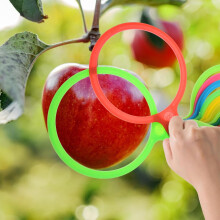 Kädessä pidettävä hedelmämittausrengas sitrus-appelsiini-sitruuna-persikka-halkaisijamittaustyökalu hedelmille