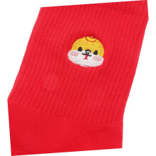 Year Snake Red Socks Snake Design Socks Embroidered for Men and Women Celebrating Chinese Zodiac Lunar Year