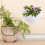 2pcs Hanging Flower Baskets Rattan Wall Decor for Home Wall 4