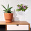 2pcs Hanging Flower Baskets Rattan Wall Decor for Home Wall 5