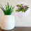 2pcs Hanging Flower Baskets Rattan Wall Decor for Home Wall 6