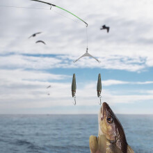 15 girelle a tre vie per pesca in acciaio inossidabile, per acqua salata, connettori per lenza