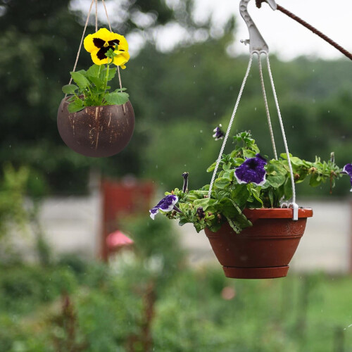 Hanging Coconut Shell Planter Pot Rope Decorative Basket for Plants Space-Saving Home 1
