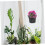 6pcs Hanging Planters Multi-Purpose Flower Pots for Use and Design 1