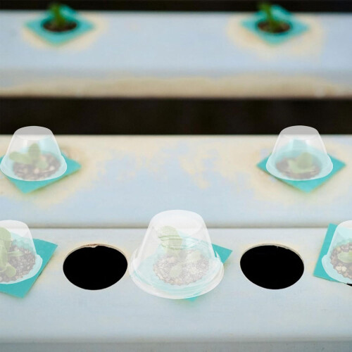 100pcs Humidity Domes for Hydroponic Gardening Plant Covers 2