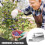 Berry Picker Ergonomic Handle Efficient Blueberry Tool Versatile Berry Rake 2