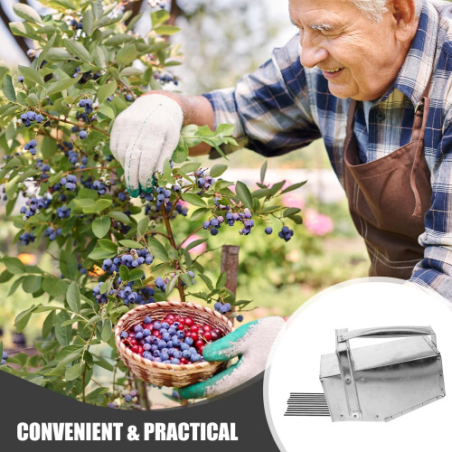 Berry Picker Ergonomic Handle Efficient Blueberry Tool Versatile Berry Rake 1