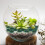 Touffes d'herbe miniatures vert foncé pour décor de table à sable 1