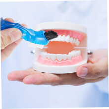 Kit de limpeza de dentes caso e escova retenedor banhar suporte escova kit