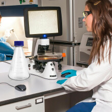 Matraz Erlenmeyer y botella cónica de vidrio de grado laboratorio de 1000 ml con líquido interior de fácil observación.