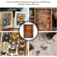 Schmetterlings- und Insekten-Präsentationsbox, rechteckig, Retro-Stil, Holz/Acryl