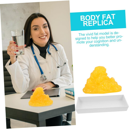 Authentic Fat Model with Base Educational Tool for Students Realistic Human Fat Tissue Display 1
