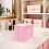 Plastic Organizer with Drawers Mini Organizer with Drawers Multi-layer Storage Plastic 2