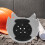Universal Anti-Collision Safety Insert Shell for Baseball Caps, Crash-Proof Protective Liner 4