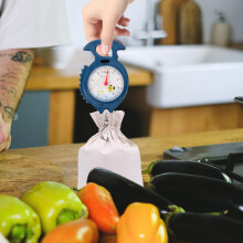 Tragbare, fischförmige Handwaage mit Federmechanismus, digitale Gepäckwaage, Mehrzweck-Kunststoff