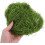 Miniature Vine Model Plants Artificial Shrubs Light Green 10g 1