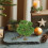 DIY Wire Tree for Micro Landscape Decor Miniature Landscape Trees for Diorama Table Accessory 6