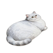3D Cats Bathroom Door Mat Silica Gel Fast Drying-40X60cm type 3