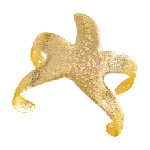 Leichter Sea Star-Armreif mit verstellbarer Öffnung für-Gold