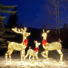 Bxaolu Luminous Deer -perheen ulkokoristesetti, 3 osaa