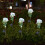 Lampa podłogowa Solar Rose Yellow80x20cm 2