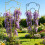 Decorative Iron Vine Support For Home Garden Use Great-Black 3