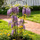 Decorative Iron Vine Support For Home Garden Use Great-Black 6