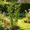 Decorative Iron Vine Support For Home Garden Use Great-Black 7