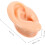 2 modelli di orecchie in silicone per auricolari e orecchini, simulazione realistica di orecchie umane. 2