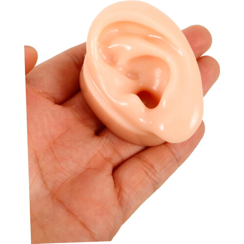 2pcs Silicone Ear Models for Earphones and Earrings Display Realistic Simulation Human Ear Samples 2