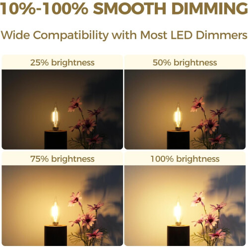 Ampoule LED E12 type bougie 6W 2700K Dimmable IRC 90+ (lot de 12) 2