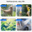 Oxidation Resistant rustless Water Hose Link For Landscape-5FT 6