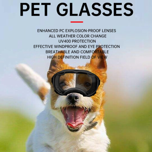 Pet Sunglasses Protections for Medium Large Dogs for-Black M 2