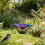 Heart Shape Hanging Bird Feeders Durability Large Capacity-1 6