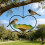 Heart Shape Hanging Bird Feeders Durability Large Capacity-1 7