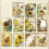 Confezione di carta vintage per scrapbooking e journaling30 1