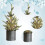 Mini sapin de Noël LED – Décoration de bureau en PVC vert, 4